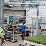 BusinessForum 2025: Gartenbau Klein